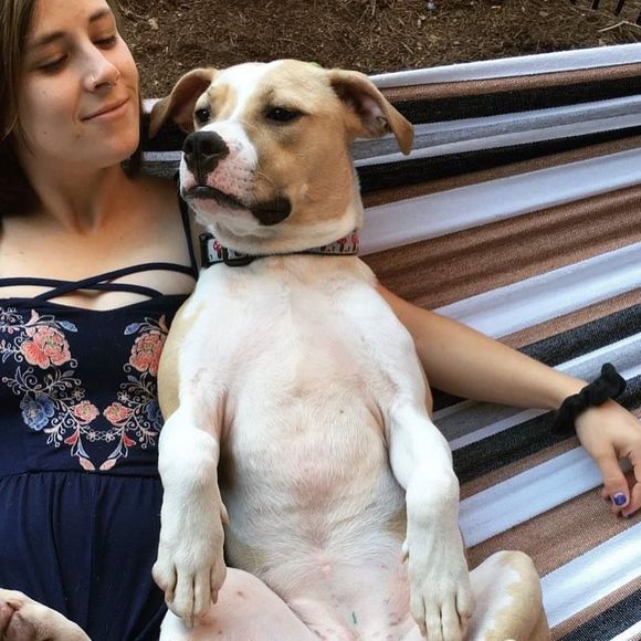 Meet your Posher, Erin - Picture 1 of 1